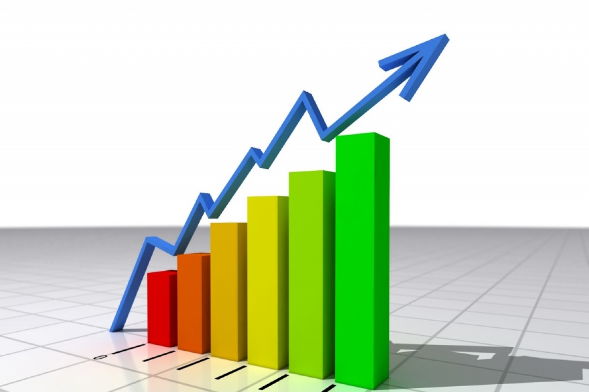 2019 Yılında Büyümeye Devam...